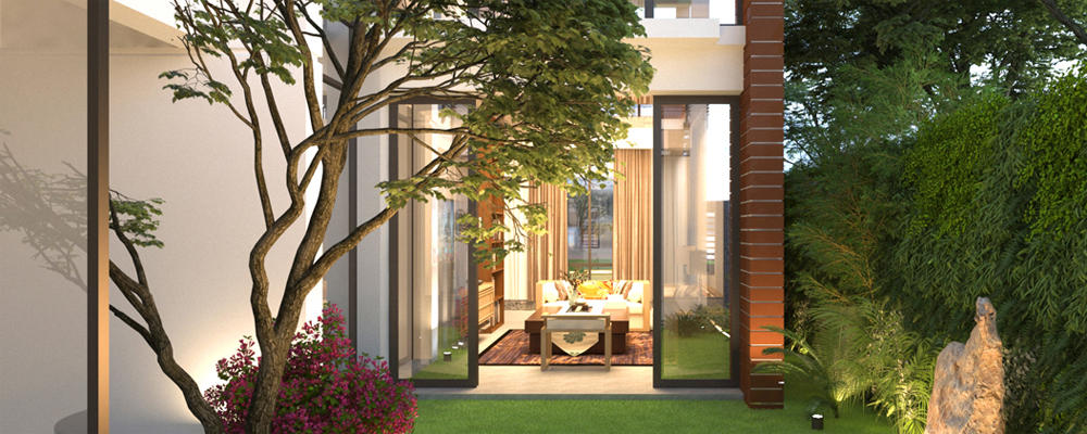 Portfolio Image